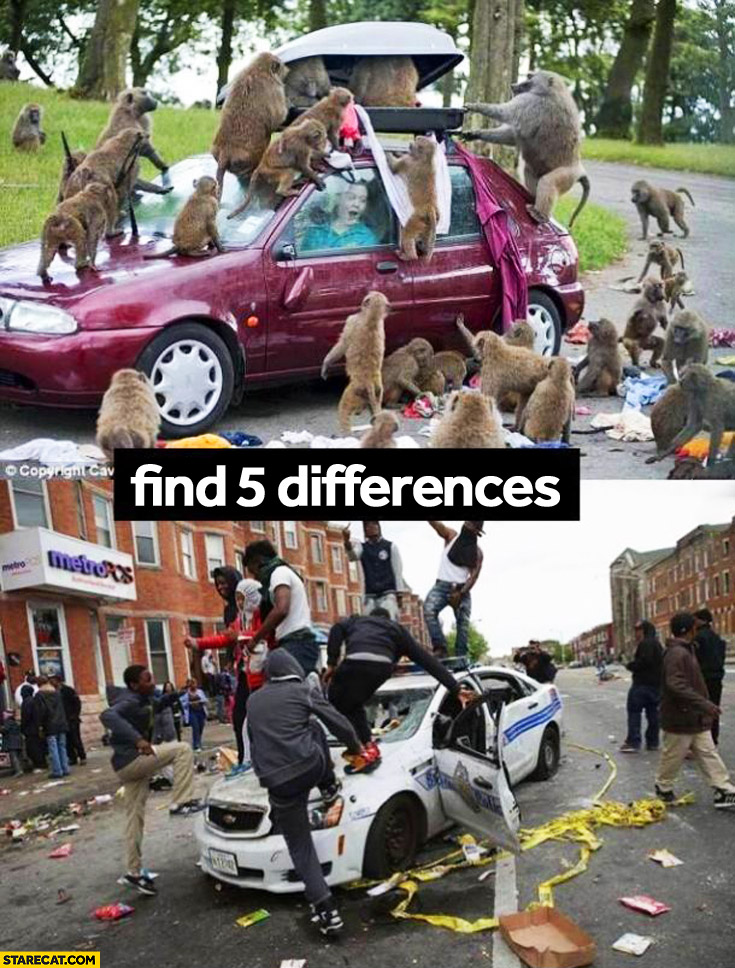 5 differences