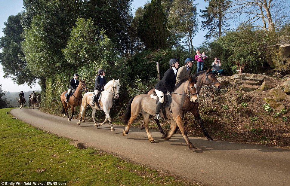 Ancient tradition: Horses and riders enjoyed brilliant spring sunshine in Cornwall yesterday as they met at Pentillie Castle near St Mellion